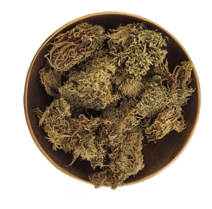 Barba de Piedra x 100gr