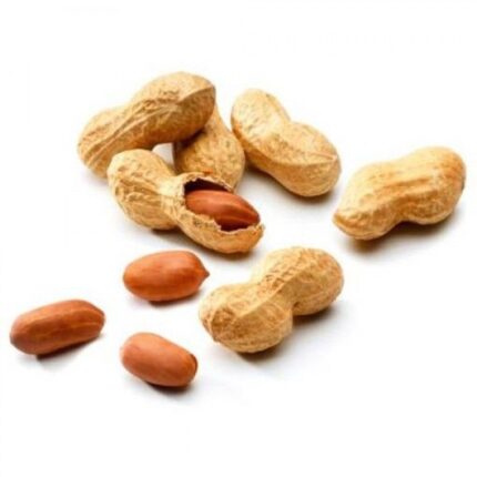 Mani tostado con cascara premium x 1kg