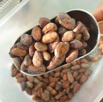 Semilla de cacao x 500gr