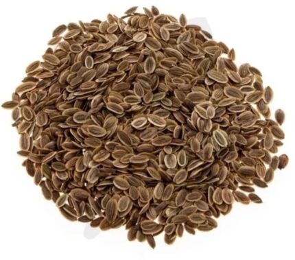 Semilla de Eneldo x 1kg